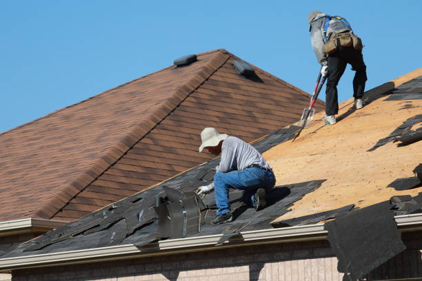 Best Roof Coating and Sealing  in West Hazleton, PA